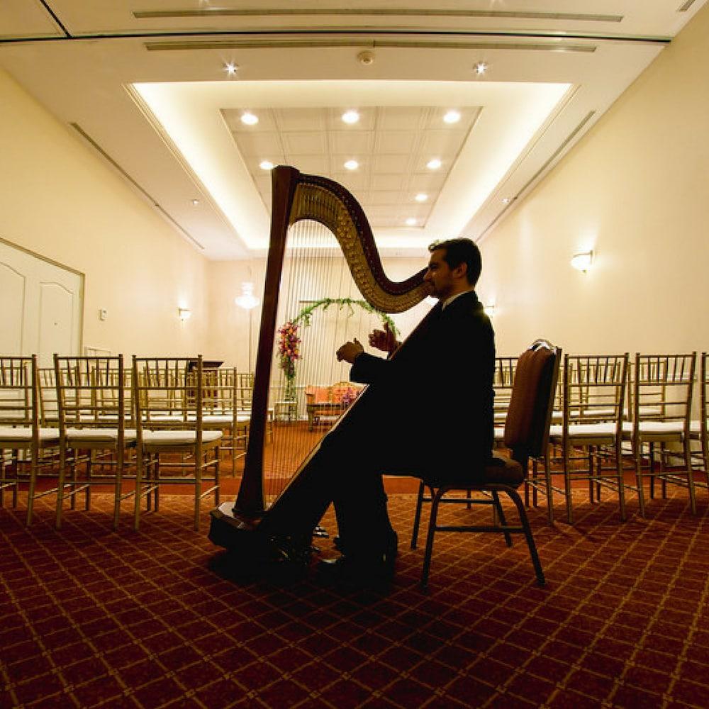 Safi Royal Luxury Valle San Pedro Garza Garcia Dış mekan fotoğraf Harpist at a wedding